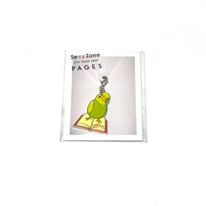 Sexy Zone LIVE TOUR 2019 PAGES セクゾ インコチャーム timelesz タイムレス キーちゃん