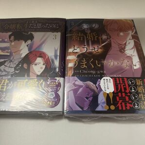 この結婚はどうせうまくいかない 3 よくある令嬢転生だと思ったのに 3