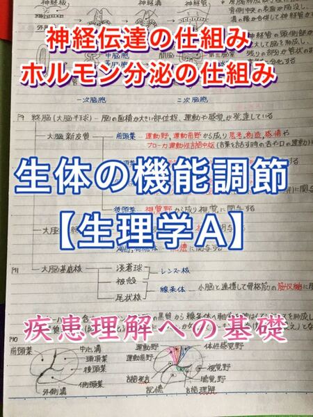 医療系学科定期、国家試験対策シリーズ【生体の機能調節(生理学)A】まとめノート