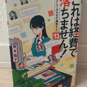 これは経費で落ちません 13
