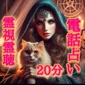 予約制20分電話占い鑑定■現役霊媒師の霊視霊聴霊感/生まれ持った霊能力でお相手の魂とお話ができます/彼の気持ち行方未来