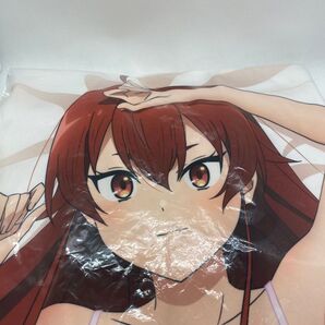 (未開封)無職転生 エリス 抱き枕カバー 正規品