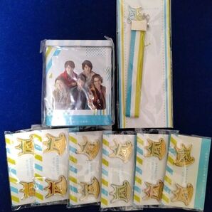 嵐 Scene 君と僕の見ている風景 グッズ