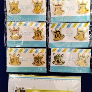 嵐 Scene 君と僕の見ている風景 ピンバッジ&ストラップ