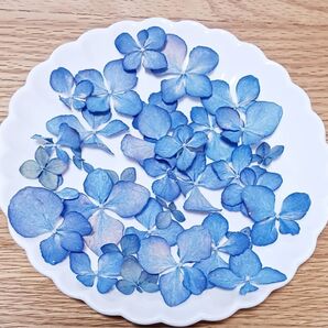 プリザーブドフラワー 紫陽花 アジサイ ドライフラワー