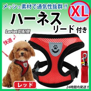 ハーネス《 XLサイズ・レッド 》犬用 リード付き ベストタイプ 蒸れないメッシュ素材 胴輪 犬猫ペット