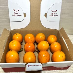 無農薬 渋柿 (品種 にしこり)12個入り つるし柿 干し柿 和歌山県産