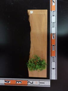 e0110527 欅●厚約1cm☆無垢板１枚板 木材 板 DIY 板材 天板 棚板 テーブル 看板 花台など種類豊富！