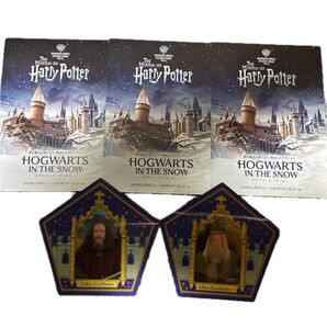 USJ ハリーポッター カエルチョコ 3Dカード2枚 フライヤー3枚セット