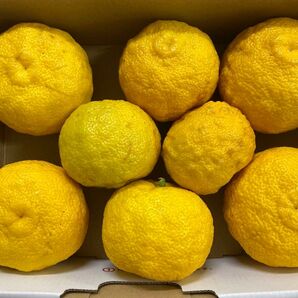 群馬県産 ゆず 柚子 1キロ