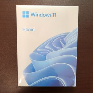Microsoft Windows11 Home USB パッケージ版 日本語 未開封 新品