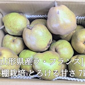【訳ありお得】山形県産ラ・フランス 約7kg(3Lサイズ)平棚栽培 甘く香る洋梨 農家直送 家庭用