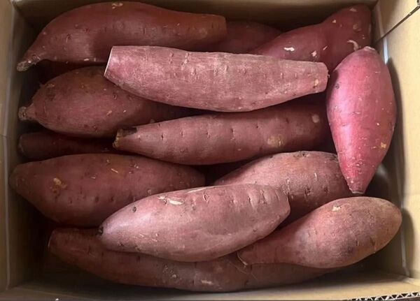 期間限定特売♪♪さつまいもミックス 3kg