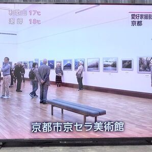 【おまかせ配送】東芝 55型テレビ REGZA 55M550K