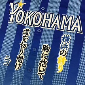 【メール便送料無料】横浜 DeNA ベイスターズ 刺繍ワッペン 乙坂 応援歌 白 /乙坂智/baystars/応援/刺繍/ユニホーム