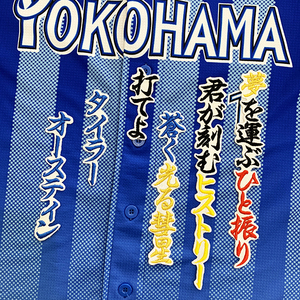 【メール便送料無料】横浜 DeNA ベイスターズ 刺繍ワッペン オースティン 応援歌 白 /タイラー/baystars/応援/刺繍/ユニホーム