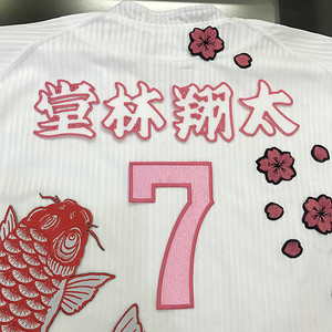 【メール便送料無料】広島 カープ 刺繍ワッペン 堂林 名前 白 /堂林翔太/carp/応援/刺繍/ユニホーム