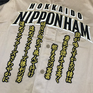 ヤフオク ファイターズ讃歌の中古品 新品 未使用品一覧 ヤフオク ファイターズ讃歌の中古品 新品 未使用品一覧