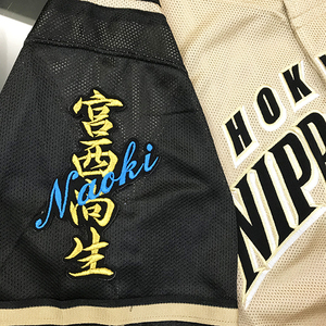 【メール便送料無料】北海道 日本ハム ファイターズ 刺繍ワッペン 宮西 ネーム 黒 /宮西尚生/fighters/応援/刺繍/ユニホーム