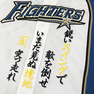 【メール便送料無料】北海道 日本ハム ファイターズ 刺繍ワッペン 石井 応援歌 白 /石井一成/fighters/応援/刺繍/ユニホーム