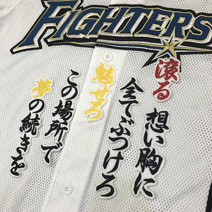 【メール便送料無料】北海道 日本ハム ファイターズ 刺繍ワッペン 大田 応援歌 白 /大田泰示/fighters/応援/刺繍/ユニホーム