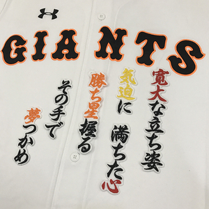 【メール便送料無料】読売 ジャイアンツ 巨人 刺繍ワッペン 大竹 応援歌 白 /大竹寛/giants/応援/刺繍/ユニホーム