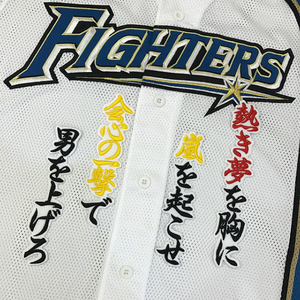 【メール便送料無料】北海道 日本ハム ファイターズ 刺繍ワッペン 矢野 応援歌 黒 /矢野謙次/fighters/応援/刺繍/ユニホーム