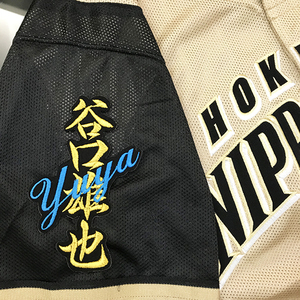 【メール便送料無料】北海道 日本ハム ファイターズ 刺繍ワッペン 谷口 ネーム 黒 /谷口雄也/fighters/応援/刺繍/ユニホーム