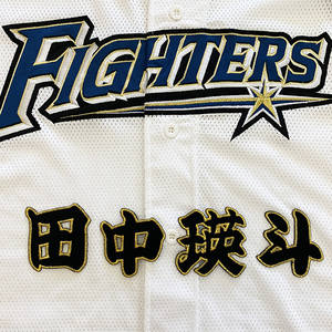 【メール便送料無料】北海道 日本ハム ファイターズ 刺繍ワッペン 田中 名前 黒 /田中瑛斗/fighters/応援/刺繍/ユニホーム