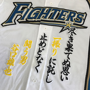 【メール便送料無料】北海道 日本ハム ファイターズ 刺繍ワッペン 谷口 応援歌 白 /谷口雄也/fighters/応援/刺繍/ユニホーム