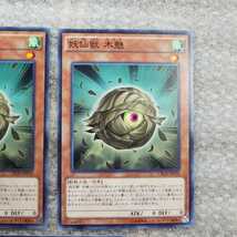 『　遊戯王　カード　』　妖仙獣　木魅　ノーマル　3枚セット　デュエルモンスターズ　　_画像4