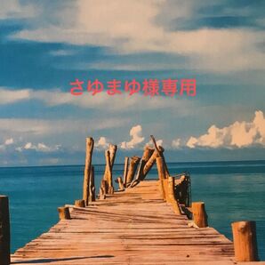 さゆまゆ様専用