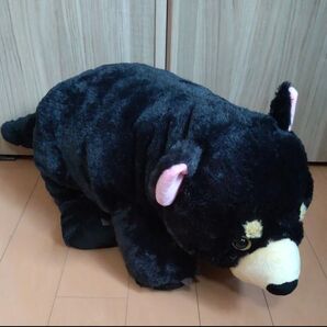 くま クマ ぬいぐるみ 黒くま 黒クマ タスマニアデビル BIG ビッグ