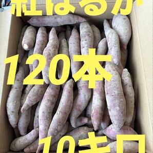 長野県産 紅はるか 10キロ