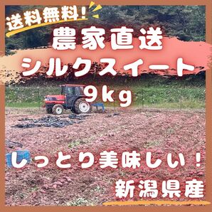 シルクスイート 9kg C品規格外品 キュアリング済み さつまいも サツマイモ