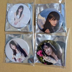乃木坂46 池田瑛紗 個展 Wings あひるの夢 缶バッジ 4種セット