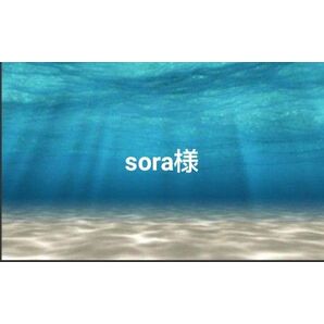 sora様