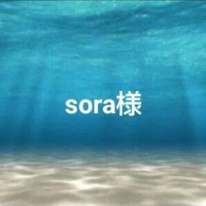 sora様