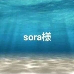 sora様