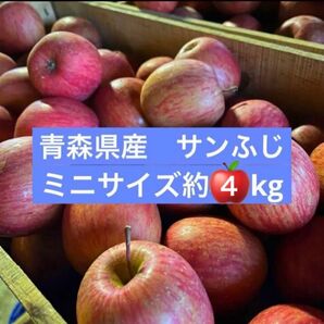 産地直送 サンふじ 青森県産 りんご 訳あり