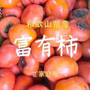 【和歌山県 九度山 富有柿】約8.0kg 3,650円 ご家庭用