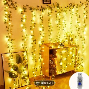 イルミネーション ストリングライト クリスマス飾り