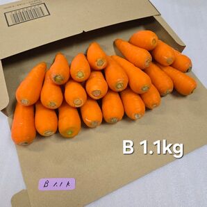 にんじん 1.1kg わけあり 熊本県産