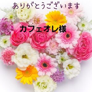 新品 レディース 介護パジャマ フルオープン 綿100% 寝たきり 入院 手術 介護 介護用品 S 全開パジャマ 婦人 パジャマ