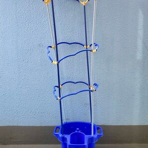 植木鉢 小学校 朝顔