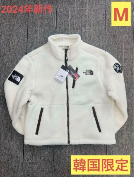 正規品 新品未使用 韓国限定 THE NORTH FACE リモフリース 男女兼用M