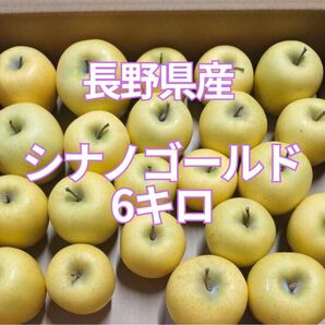 長野県産シナノゴールド 6キロ 家庭用