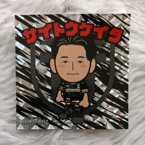 栃木シティ キラキラシール