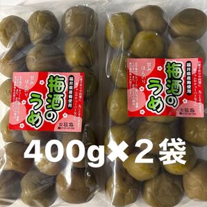福井県産梅使用 梅酒のうめ 400g入りを2袋