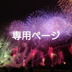 ☆専用ページ☆